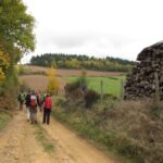 IMG_0766_resultat