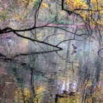 IMG_3775_resultat