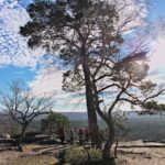 IMG_3787_resultat