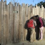 IMG_6826_resultat