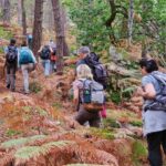 IMG_7333_resultat-1