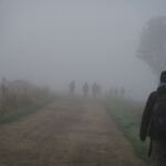 IMG_7382_resultat
