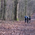 IMG_7432_resultat