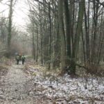 IMG_7510_resultat