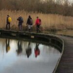 IMG_7537_resultat