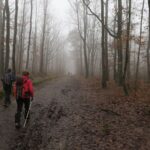 IMG_7569_resultat