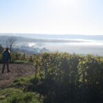 IMG_8142_resultat