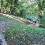 IMG_8168_resultat