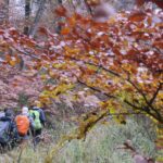 IMG_8241_resultat