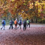 IMG_8260_resultat