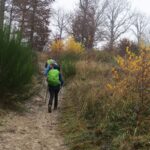 IMG_8268_resultat