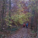 IMG_8272_resultat