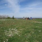 IMG_8356_resultat