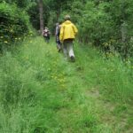 IMG_8373_resultat