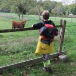 IMG_8541_resultat
