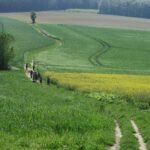 IMG_8905_resultat