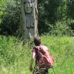 IMG_8992_resultat